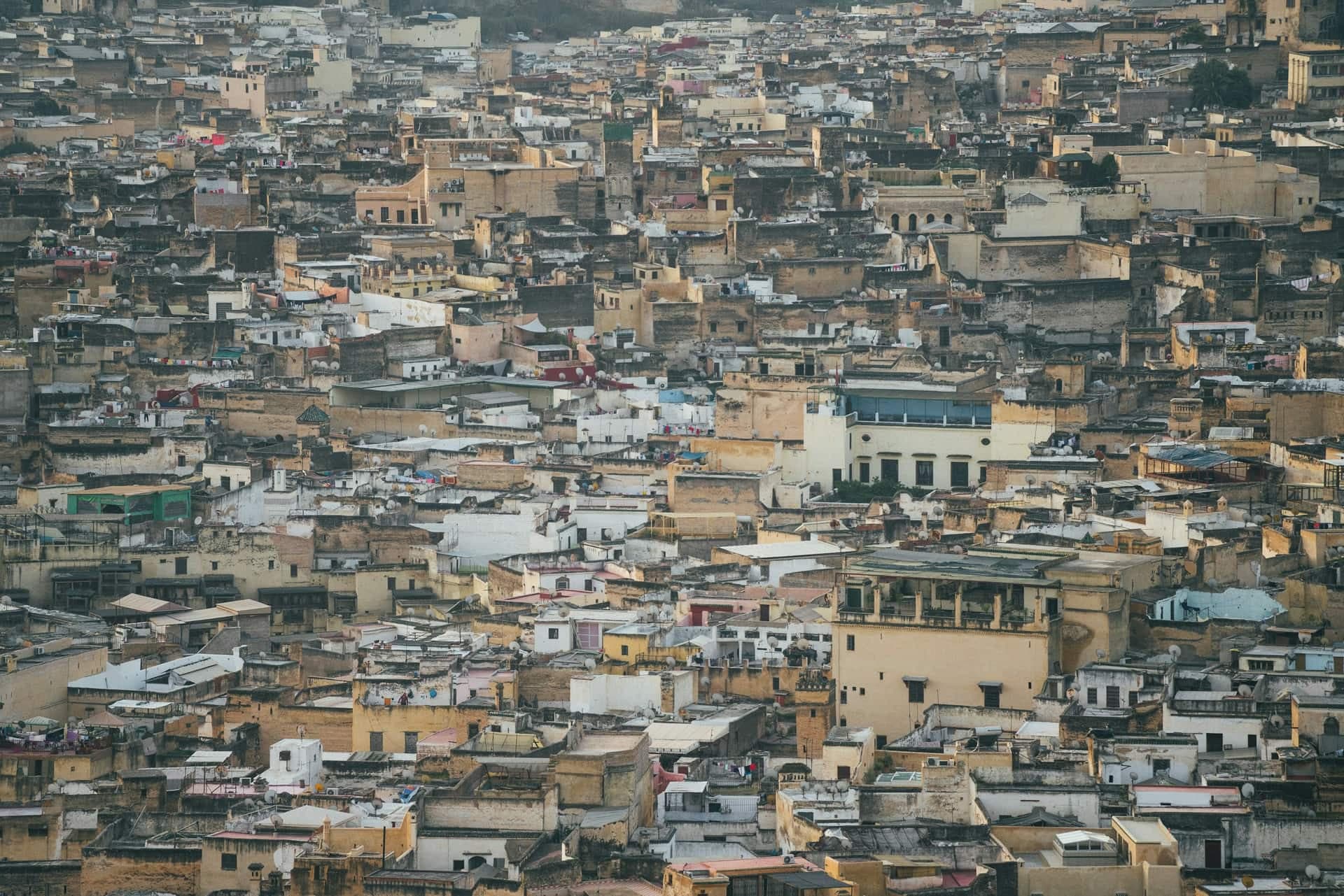 The densely packed flat rooftops of the Fes medina seen from above, a sea of sand-coloured and white buildings stretching to the hills.