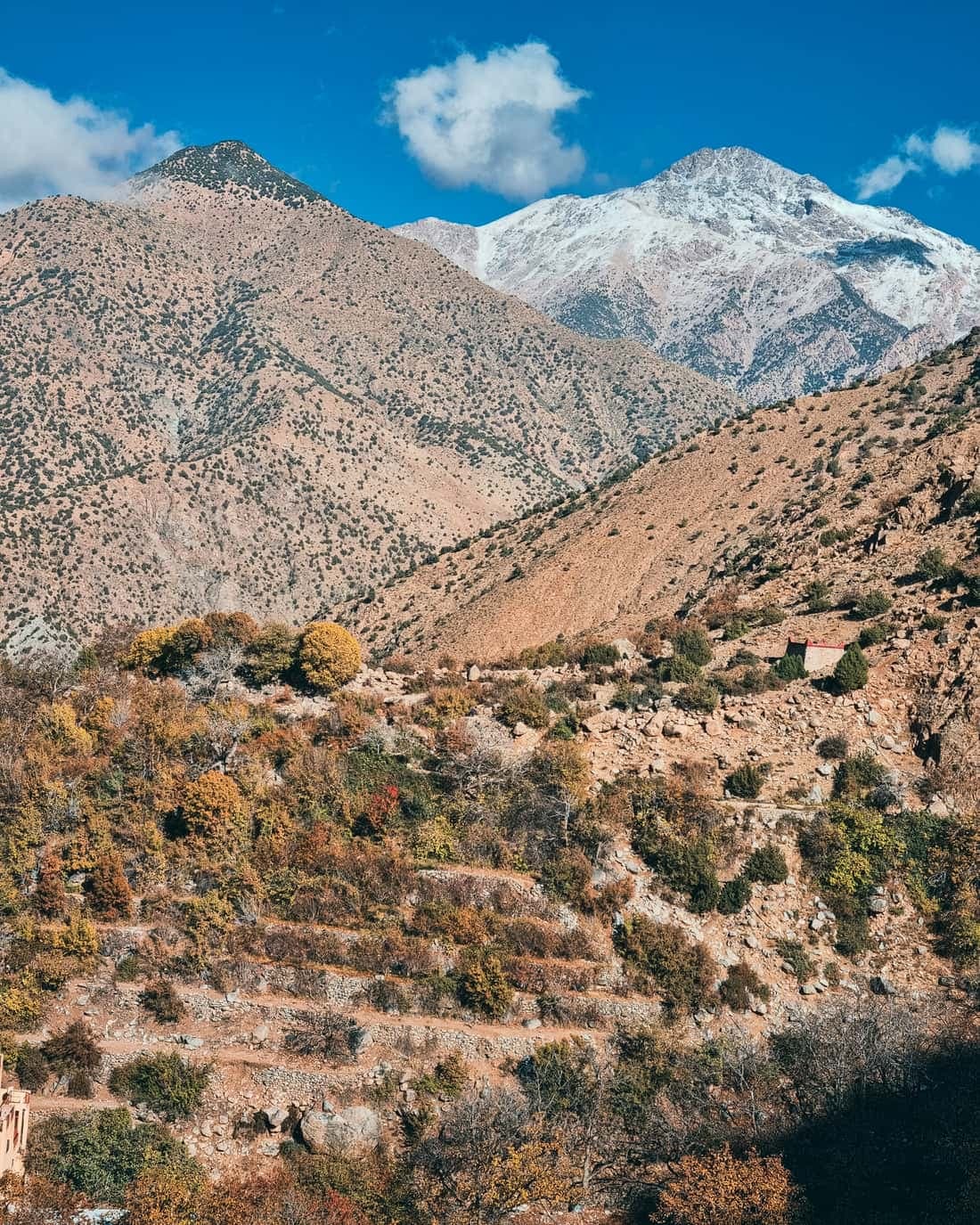 Terraced slopes of the Ourika valley in autumn colours, a small house on the hillside and bare High Atlas ridges rising behind.