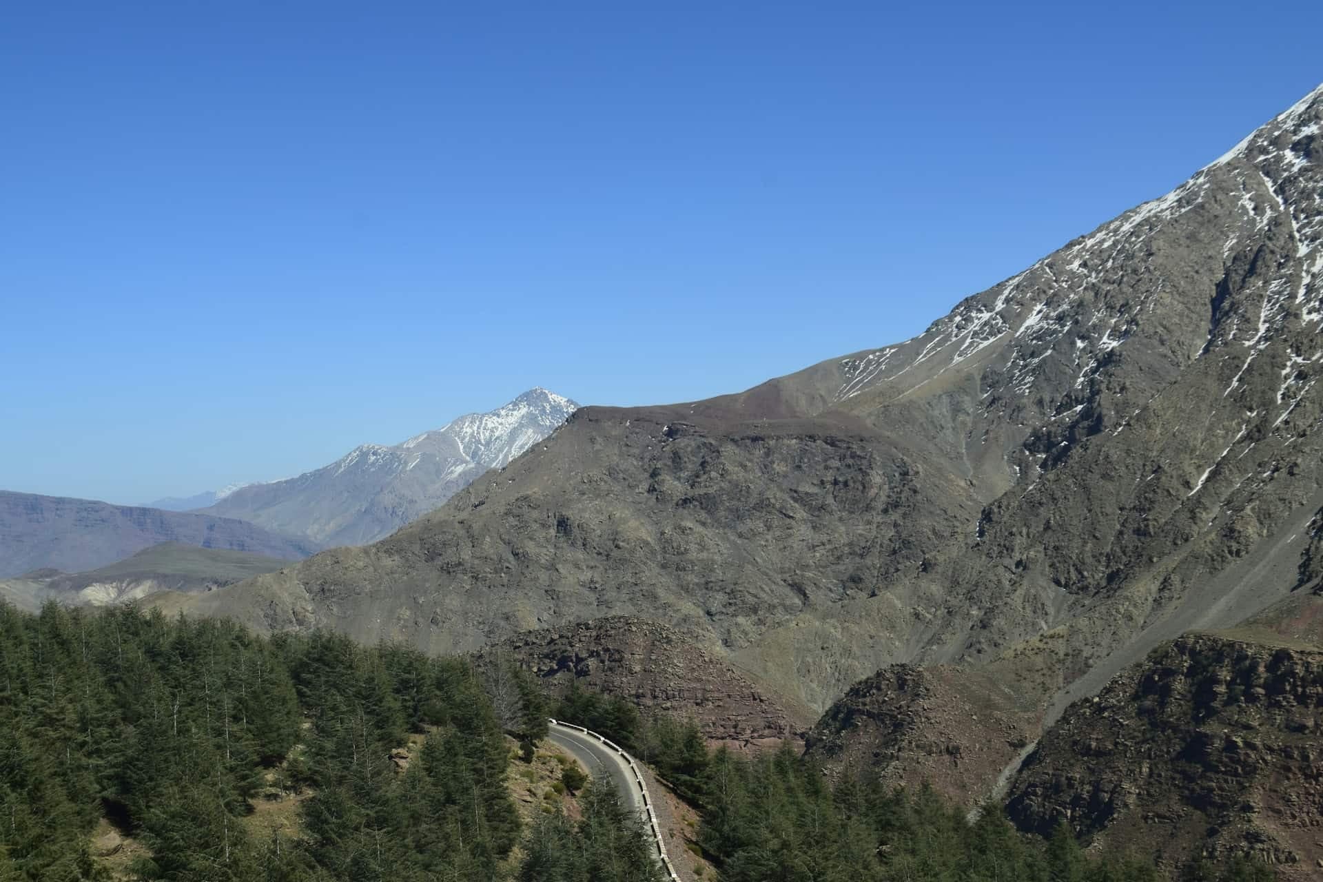 A mountain road curving through cedar forest in the Ourika area, below High Atlas peaks with snow on their upper slopes.