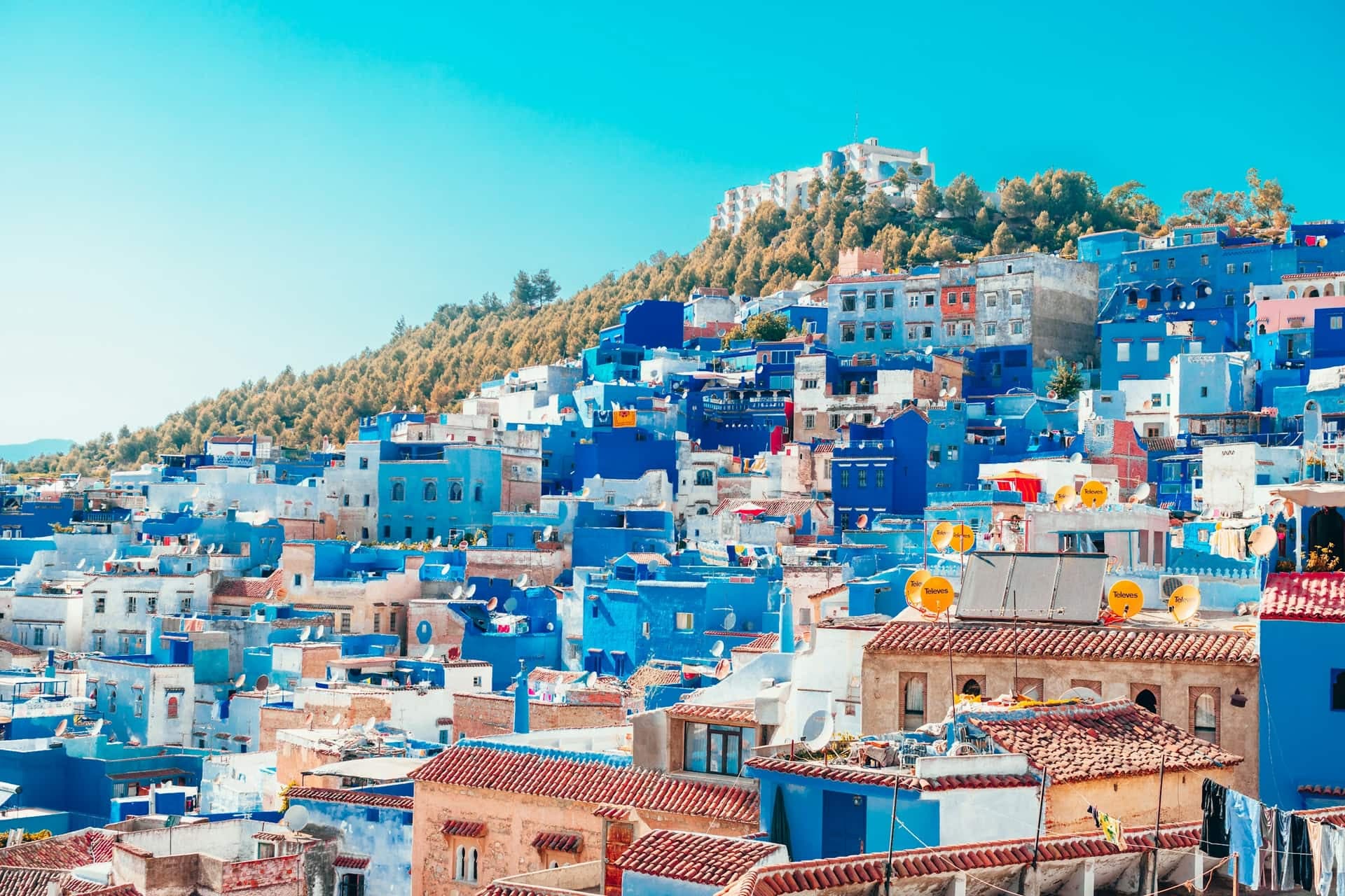 The blue and white houses of Chefchaouen stacked up the hillside below a wooded ridge.