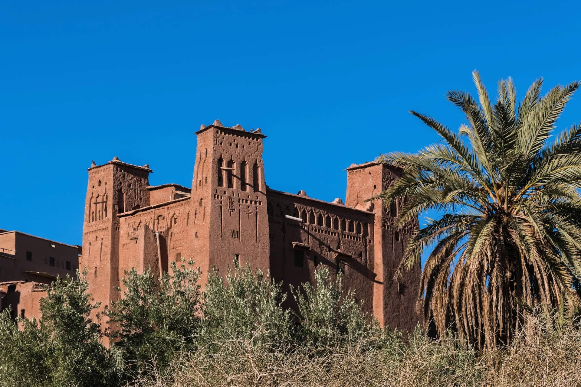 The earthen towers of a kasbah near Ouarzazate against a deep blue sky, with a palm tree in the foreground.