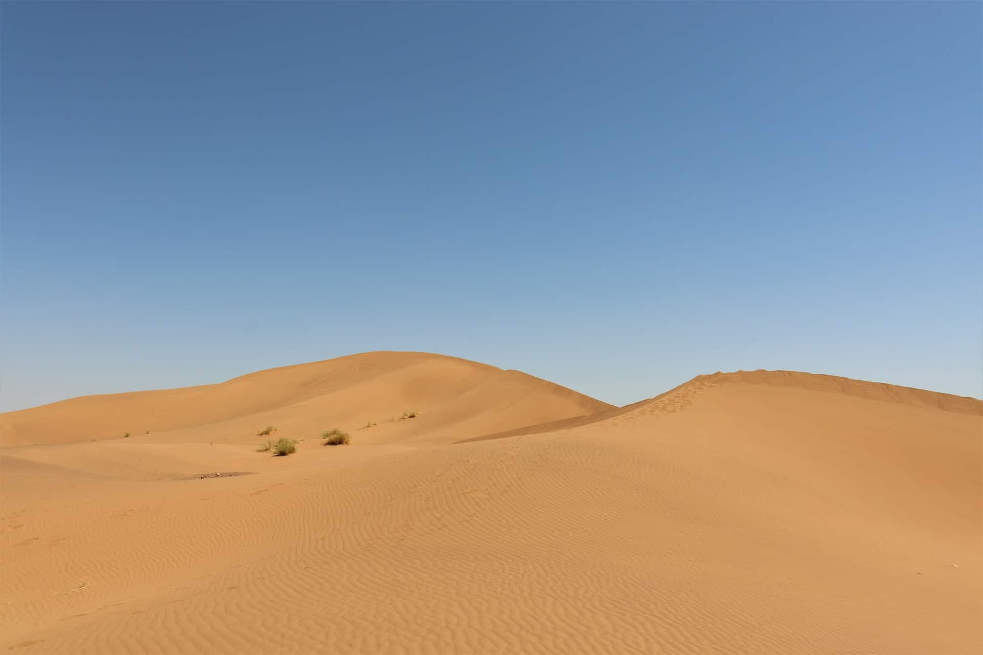 Smooth orange sand dunes near Zagora rising to a crest under a clear blue sky.
