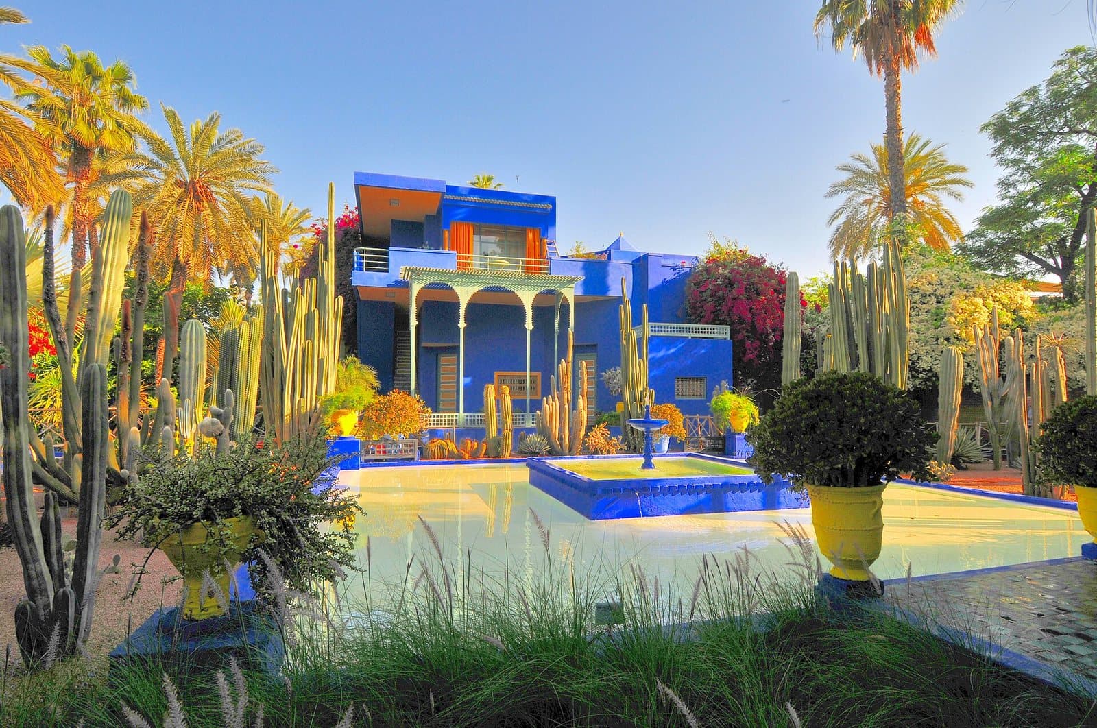 The cobalt blue and yellow villa of the Majorelle Garden in Marrakech, framed by cacti, palms and a blue-tiled pool.