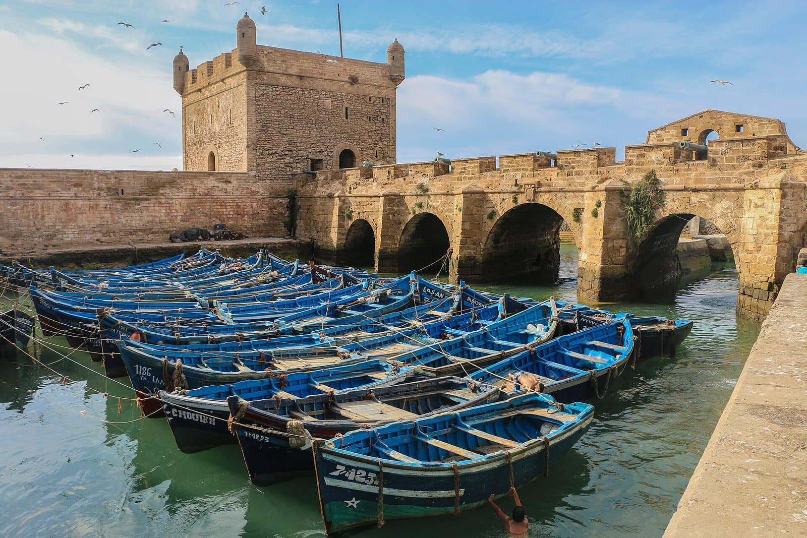 Rows of blue wooden fishing boats moored below the stone tower and arched sea walls of the Essaouira port citadel.