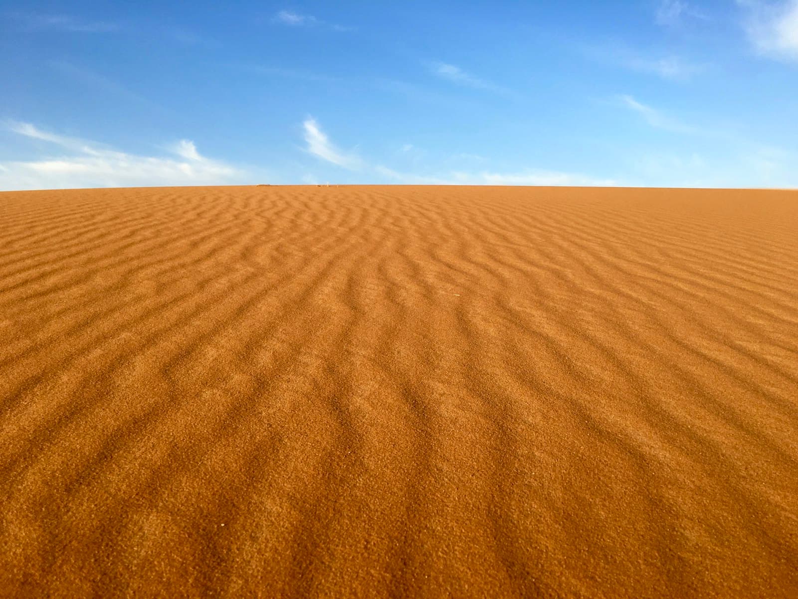 Wind-rippled orange sand of the Erg Chebbi dunes near Merzouga, rising to a clean horizon under a clear sky.