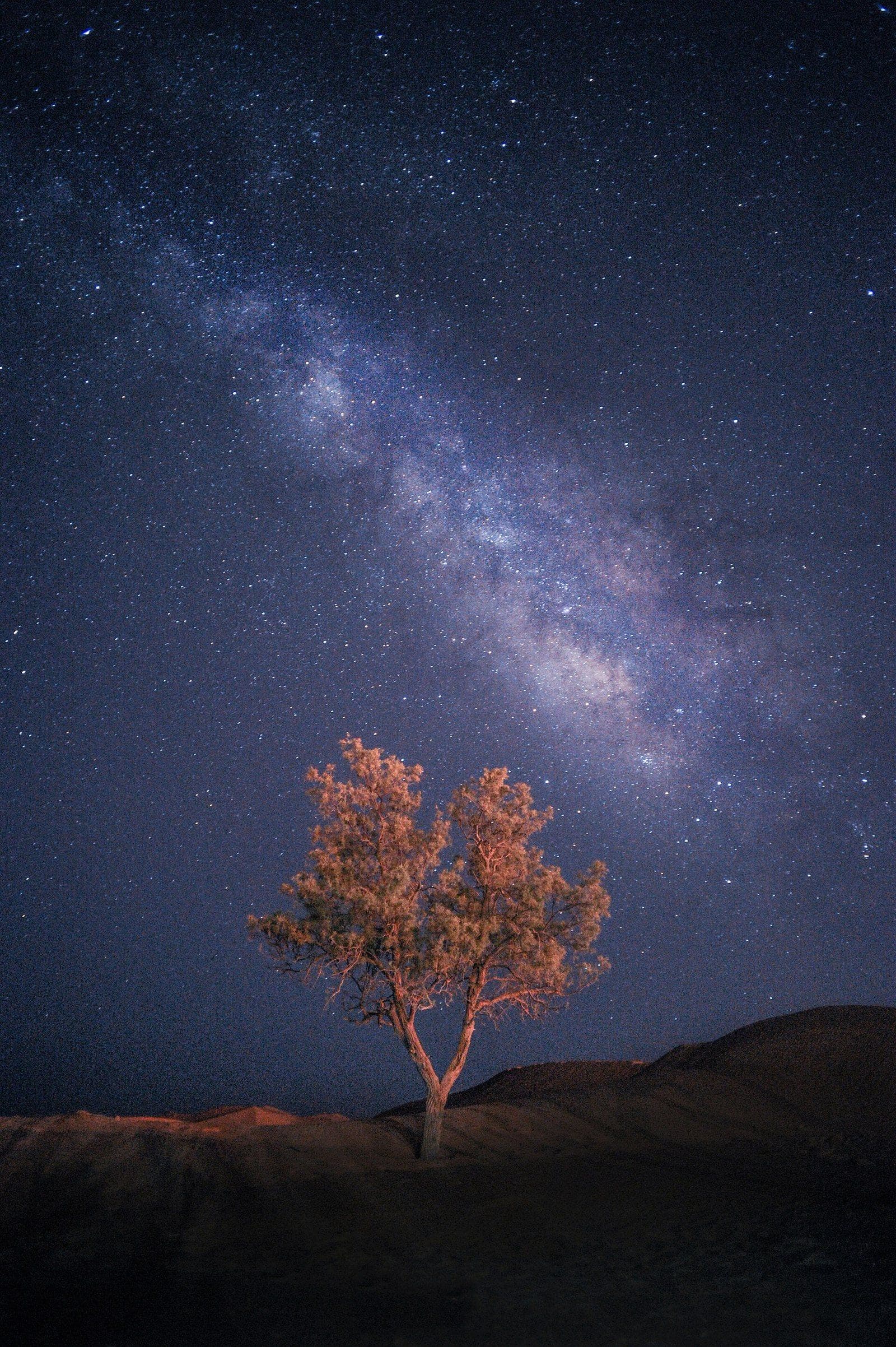 The Milky Way arching across a deep blue night sky above a lone tree lit on a desert ridge.