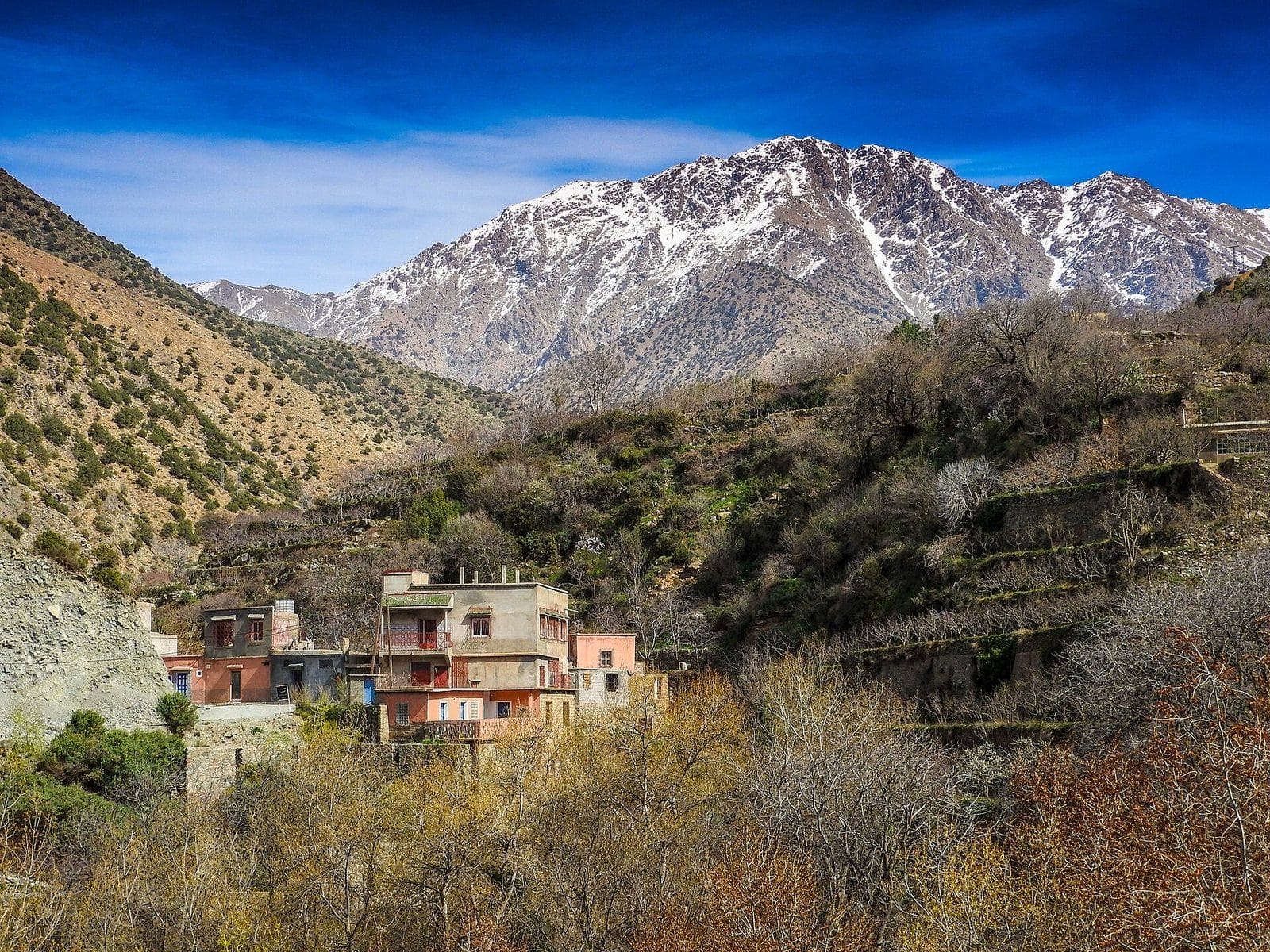 Village houses on a wooded slope of the Ourika valley, below a snow-capped High Atlas peak and a deep blue sky.