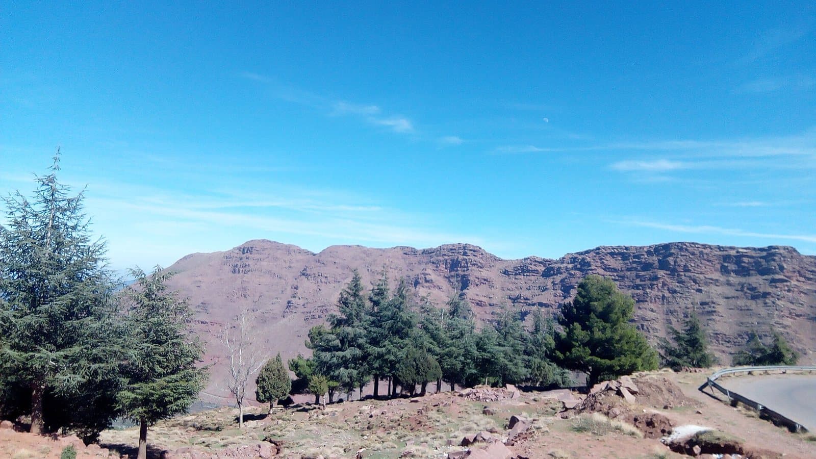 Cedar and pine trees on the high Oukaïmeden plateau, with a long red mountain ridge behind under a clear blue sky.