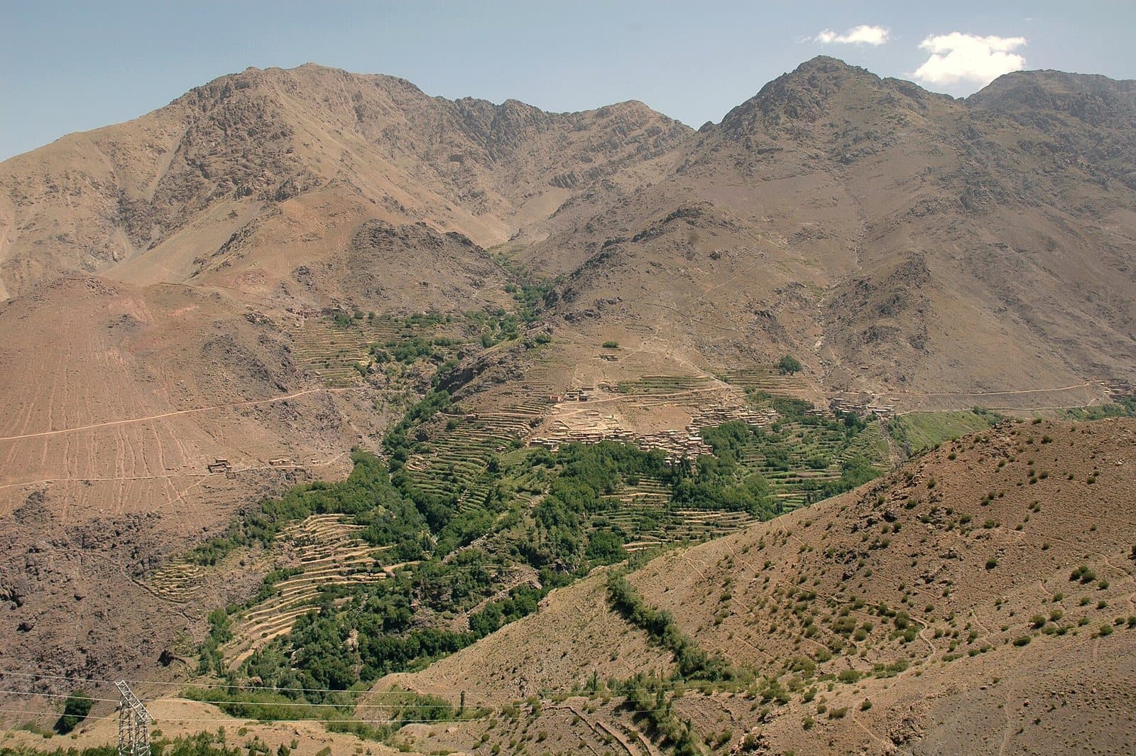 Terraced green fields and trees threading along a valley floor below bare brown High Atlas mountains near Asni.